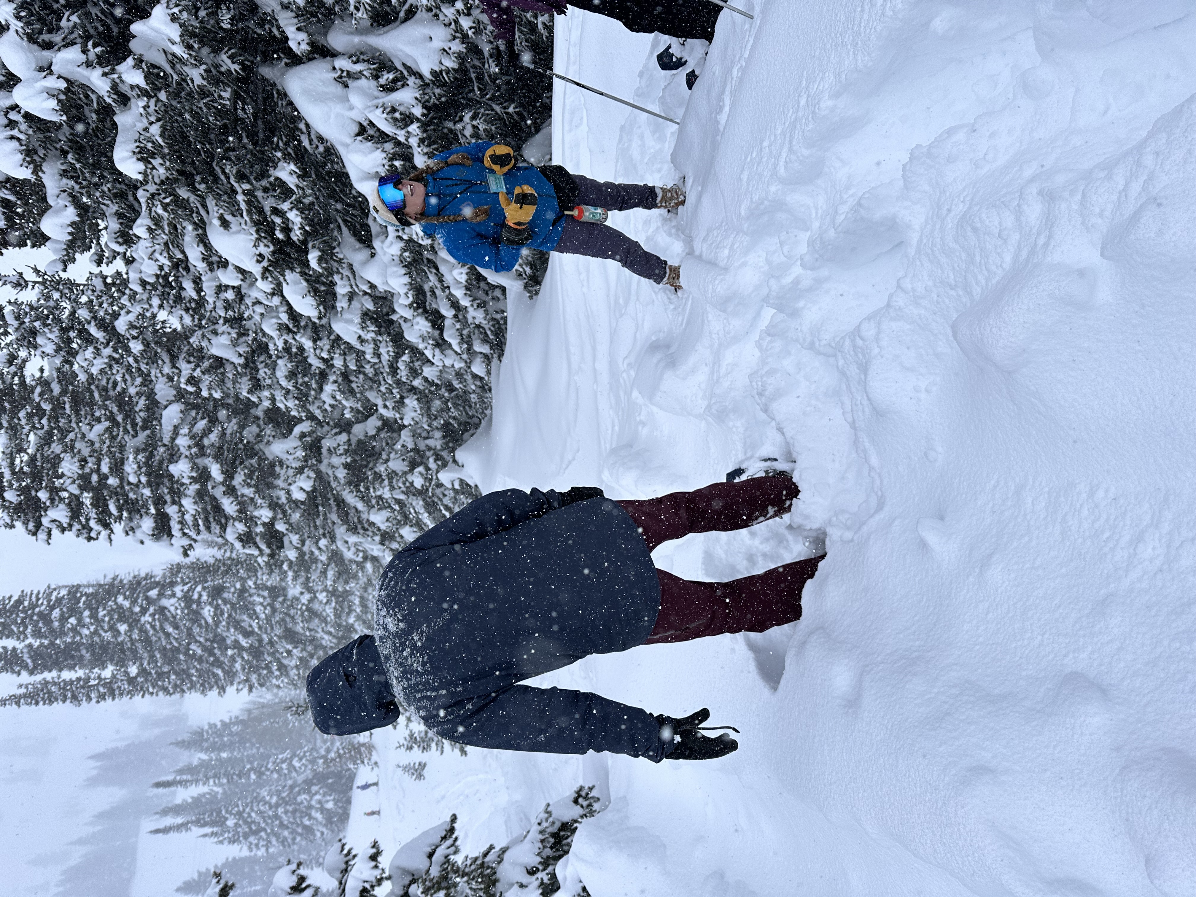 Snowshoing3