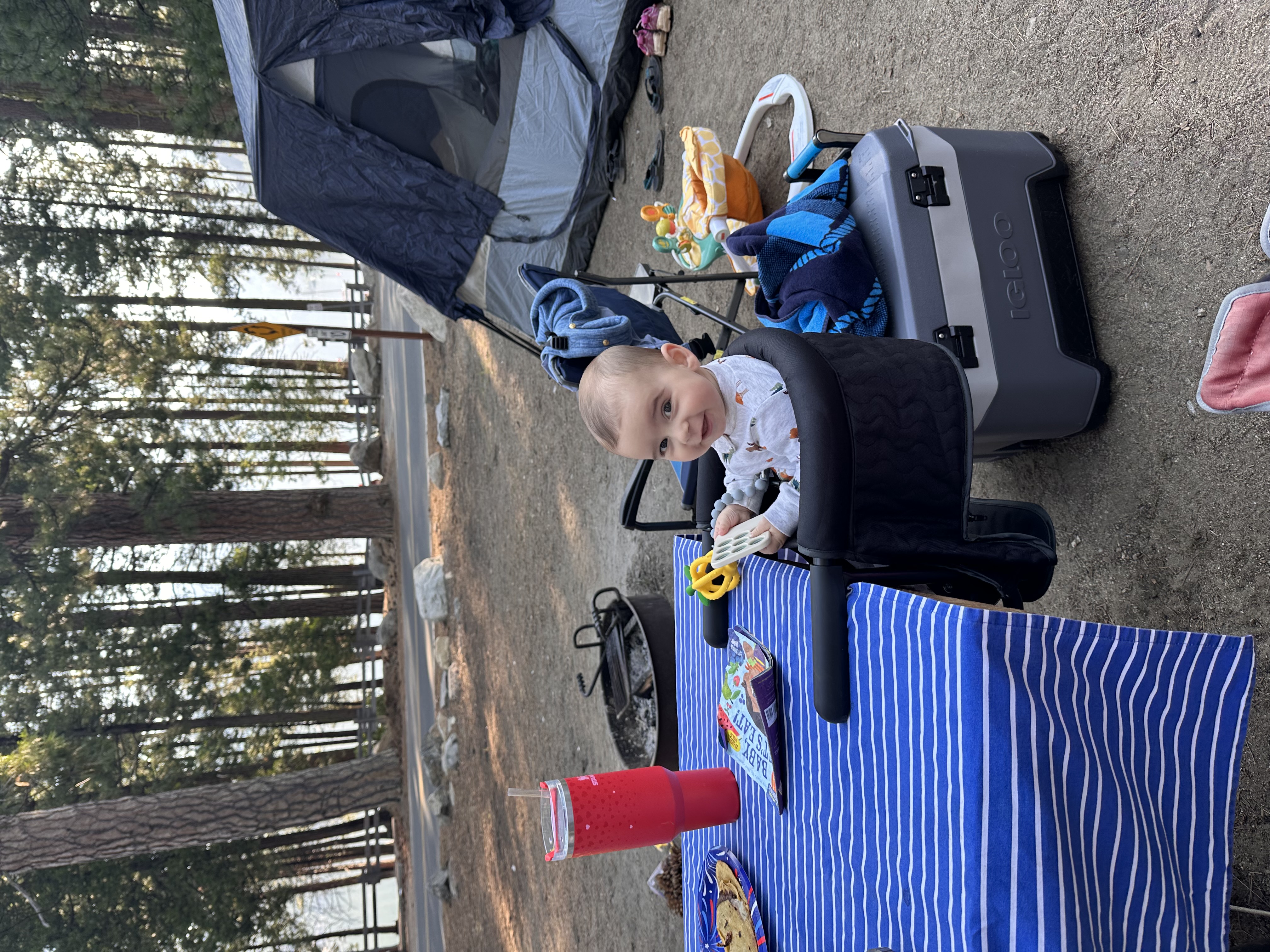 TheoSittingForBreakfast